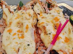 -吉之仙•中国制造•出口级食材日料店(领事馆总店)