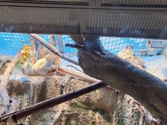 -北京海洋馆