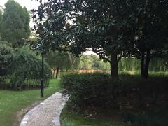 -金桥现代产业园区-停车场