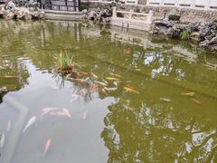 -古琴台