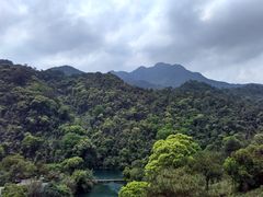 -鼎湖山风景区