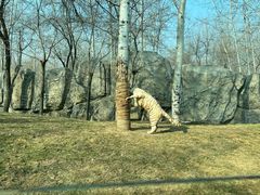 -北京野生动物园