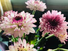 -BoBloom花店(晶耀前滩店)