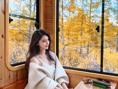 -莫尔道嘎国家森林公园