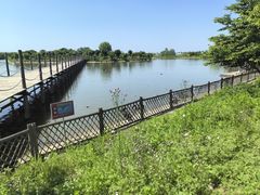 -池杉湖湿地公园