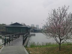 -渤公岛生态公园