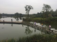 -白鹭湾湿地公园