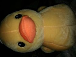 android_upload_pic-爱婴室(上海百联中环店)