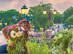 -上海迪士尼度假区