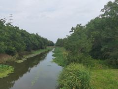 -上海海湾国家森林公园