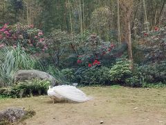 -川匠·睡眠采耳·SPA(九眼桥店)