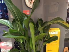 -桃夭日式料理(国信店)