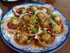 蚝油扇贝-公寓家常菜馆(海军博物馆店)