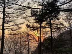 -泰山风景名胜区