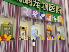 -瑞鹏·疫苗·绝育·宠物医院(金沙洲店)