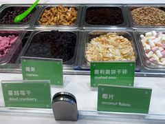 -Salud撒露欧洲冻酸奶(蓝色港湾店)