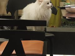 -单家老院·院子里的青岛菜(沙子口店)