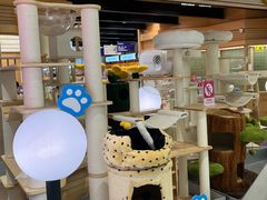 -帕帕拉兹宠物(亚洲旗舰店)