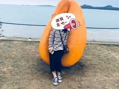 -漳州滨海火山岛自然生态风景区