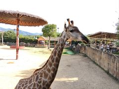 -杭州野生动物世界