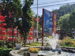 -龙福源密云水库灶台鱼