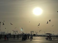 -东港音乐喷泉广场