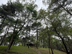 -承德避暑山庄景区