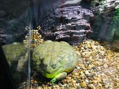 -暹罗海洋世界