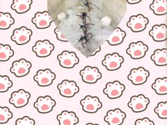 -佑安动物医院·全科·内窥镜中心(幸福巷店)