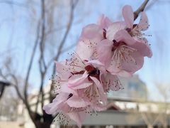 -元大都城垣遗址公园