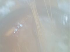 -都善和记洛阳涮牛肚(丰产路店)