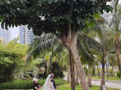 -中澳友谊花园