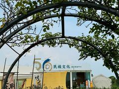 -空港花田景区
