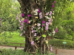 -云溪植物园