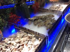 -韩京炭火烤肉自助料理(柯桥万达店)