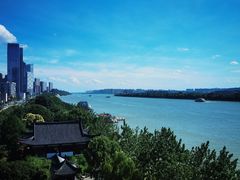 -杜甫江阁