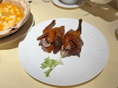红烧乳鸽-惠食佳(滨江大公馆店)