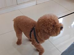 -宠颐生宠物医院·骨外科·犬猫全科诊疗中心(池州店)