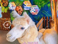 -昆明大悦城未来动物城(螺蛳湾中心店)
