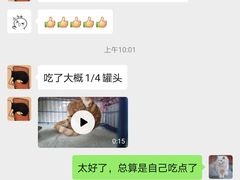 -瑞鹏宠物医院·骨科·猫科·内科(第一中心)