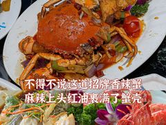 -亚龙湾热带天堂森林公园