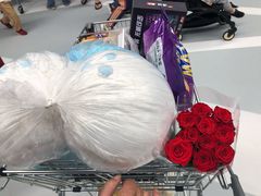 -盒马X会员店(上海森兰商都店)