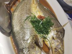 鸡汁蒸黄鱼-江南赋(内蒙古大厦店)