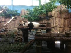 -泉州海丝野生动物世界