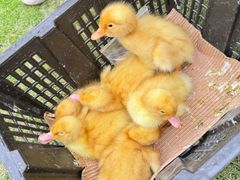 -苏州河梦清园环保主题公园