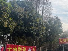 -大地农庄(逢沙大道店)