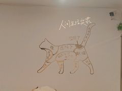 -有喵·猫咖·狗咖·30几只猫10只小狗(岗厦店)