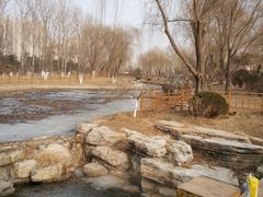 -燕郊植物园