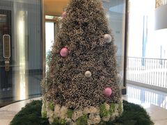 -东海朗廷酒店-唐阁T’ANG COURT 中餐厅