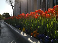 -无锡市市民中心